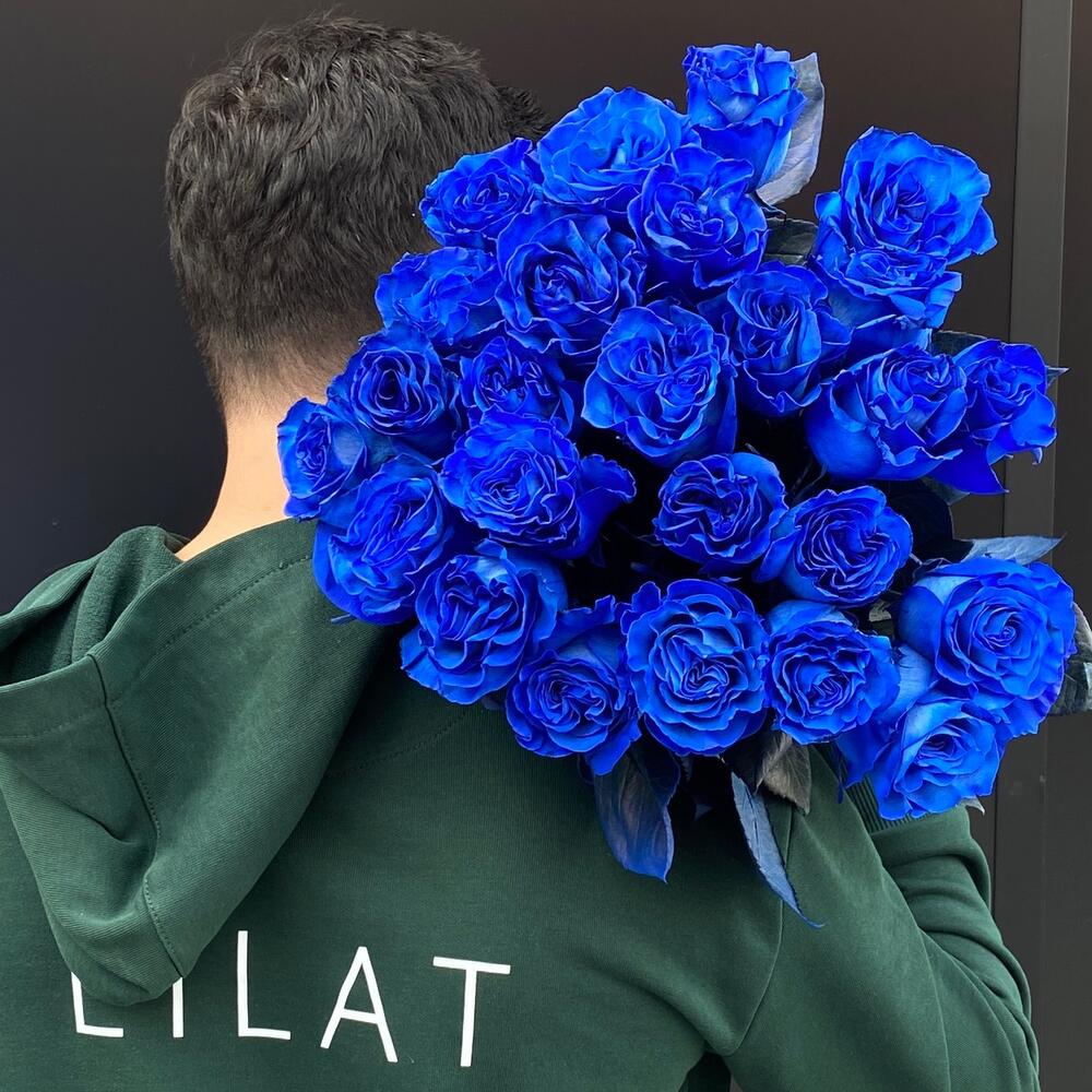Blue Rose Ecuador  19